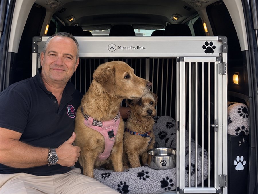 Zwei Hunde sitzen ruhig in einer gepolsterten Mercedes-Benz-Transportbox mit Wassernapf