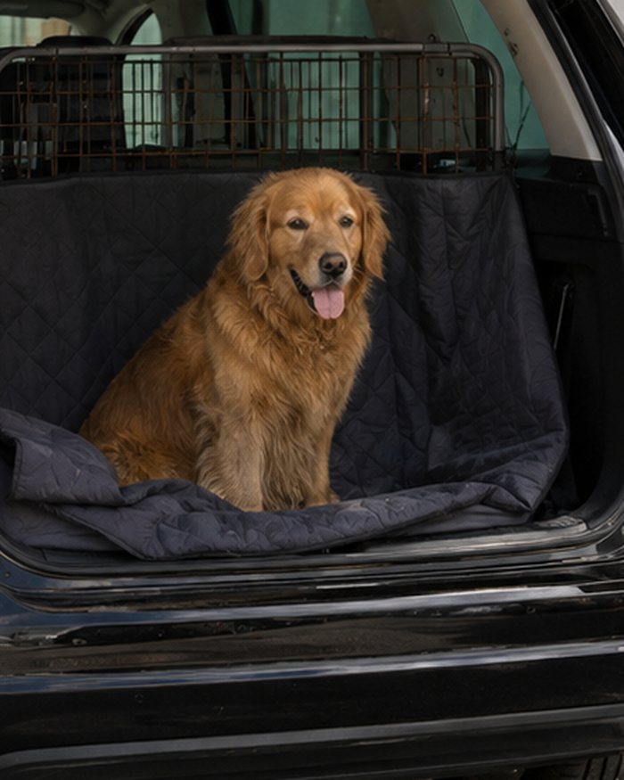 Golden Retriever sitzt entspannt auf einer Schondecke im gesicherten Kofferraum